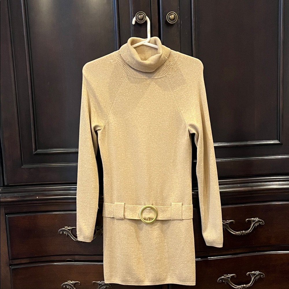 Elegant Gold Turtleneck Tunic